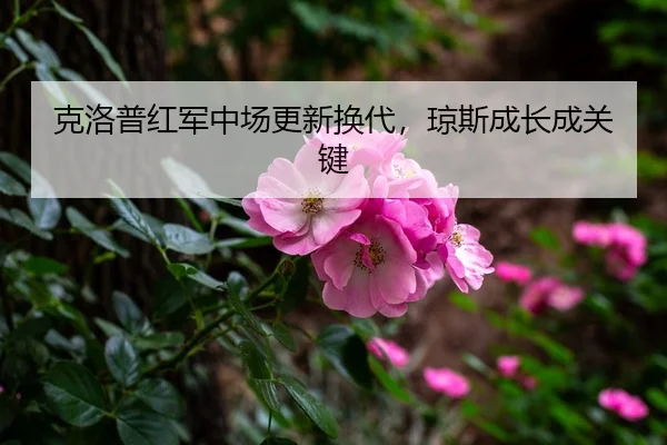 ke-luo-pu-hong-jun-zhong-chang-geng-xin-huan-dai-qiong-si-cheng-zhang-cheng-guan-jian-3-343.jpg