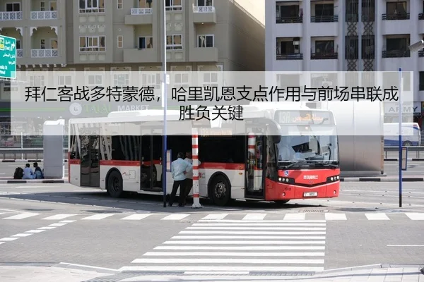 bai-ren-ke-zhan-duo-te-meng-de-ha-li-kai-en-zhi-dian-zuo-yong-yu-qian-chang-chuan-lian-cheng-sheng-fu-guan-jian-3-219.jpg