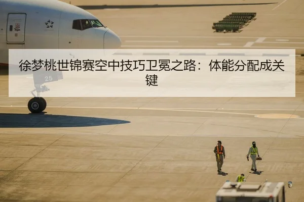 徐梦桃世锦赛空中技巧卫冕之路：体能分配成关键