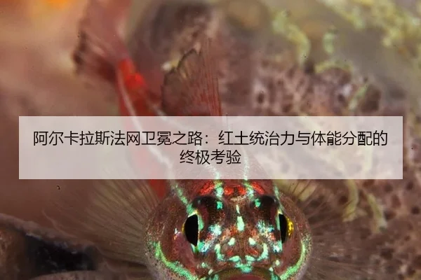 阿尔卡拉斯法网卫冕之路：红土统治力与体能分配的终极考验