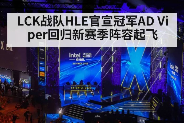 LCK战队HLE官宣冠军AD Viper回归新赛季阵容起飞