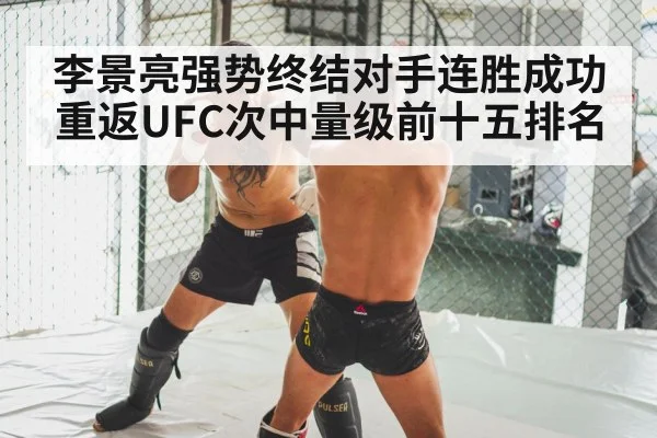 MMA knockout punch